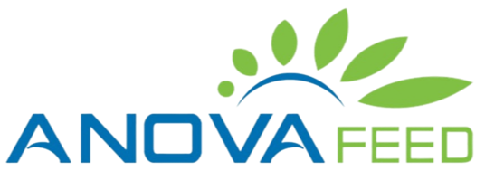 LOGO ANOVA