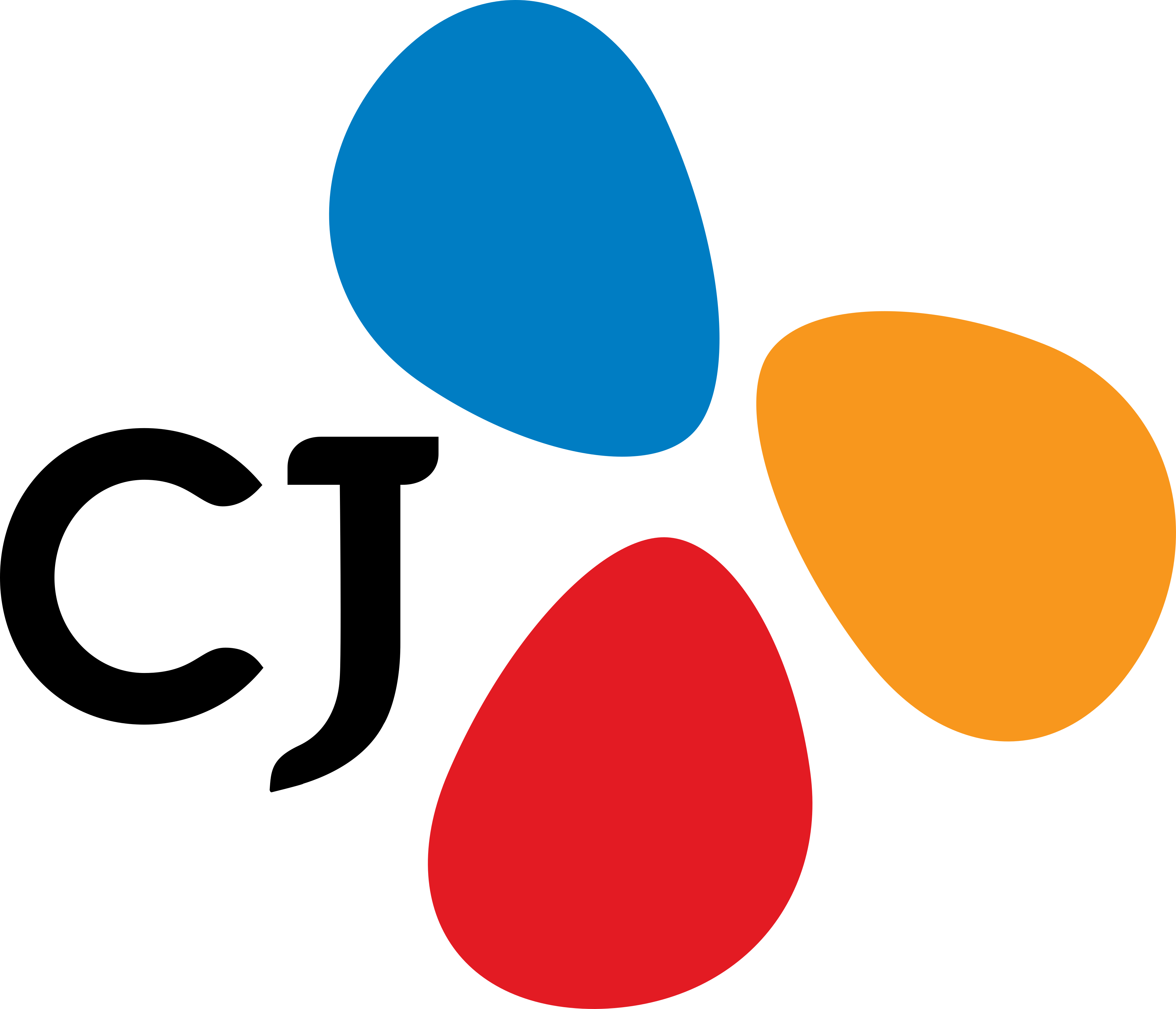 LOGO CJ
