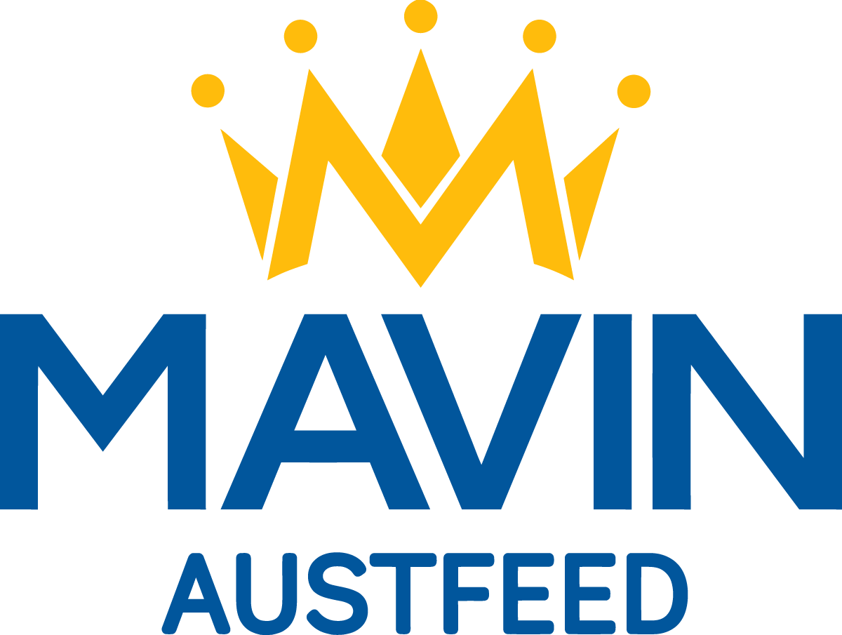 LOGO MAVIN
